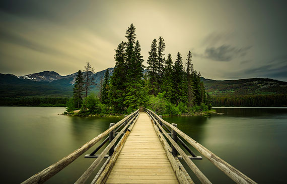 Jasper National Park, a bridge leads into the woods, similar to how an alcoholic will cross a bridge through addiction and recovery and come out changed for the better.